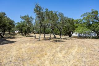 Twin Falls Luxury Glamping - Adventure Tent - Boerne - 1