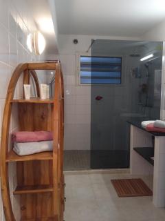 Le vol du Papangue - 4