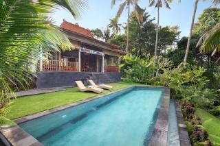 Villa Kupu Kupu Blayu - Amazing Rice Field view Between Canggu and Ubud - 0
