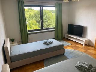 Ruhige Ferienwohnung Dreihansen - 3