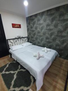 Gala Apartment - Tbilisi - 4