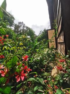 Lily's Stone Garden Farmstay - - 5
