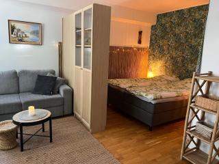 Cityflat Saimaa - Lappeenranta - 9