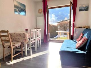 Charmant studio + jardin vue pistes et local velo - Praz-sur-Arly - 0