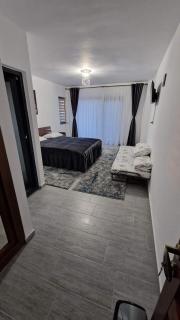 Casa de vacanta Larisa - Novaci-Străini - 8