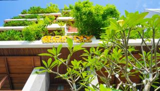 Bonny Boutique Hotel Da Nang - Da Nang - 6