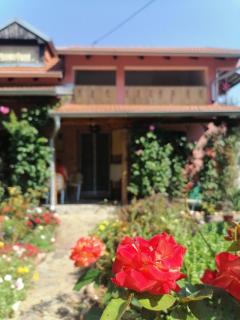 Apartman Mika - Soko Banja - 0
