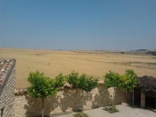 Pago de Trascasas - 9