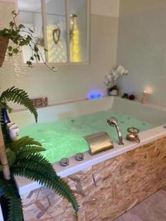 LOVER'S ROOM TROPIC - 0