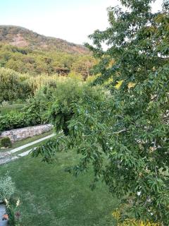 Bujtina Bezhani Gjinar - Elbasan - 1