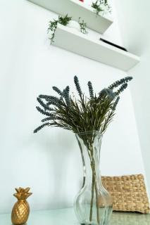 Libertad by Gades Gestión - 3