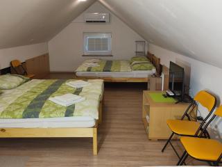 Apartment Jelovca - in the attic - Radovljica - 4