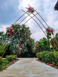 The Roar Resort - 1