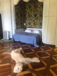 CHATEAU MONTALEMBERT Maîche - 5