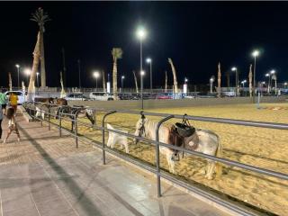 تمتع بالإقامة في شاليه فندقي بمنتجع جولف بورتو مارينا الساحل الشمالي العلمين - Enjoy your stay at Golf Porto Marina Resort El Alamein - North Coast - 3