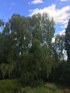 Thornleigh House - 3