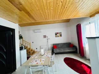 Reny's Studio Apartments -Hiperbara - Livezeni - 5