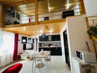 Reny's Studio Apartments -Hiperbara - Livezeni - 8