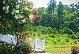 1503L home - Calabash - 5