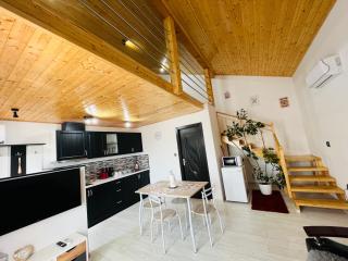 Reny's Studio Apartments -Hiperbara - Livezeni - 9