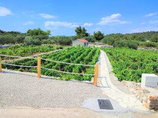 Stone house in vineyard - Račišće - 3