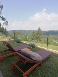 Tara Suncani sjaj-planinska kuca - Šljivovica - 8