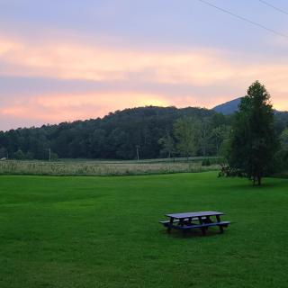 Cozy Cottage with Full View of the Mountains! - Blue Ridge - 1