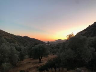 Meer an Oliven - Agia Galini - 9
