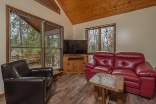 Fawn View Cabin - McHenry - 3