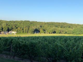 Gite de la fontaine Bondrée - 1