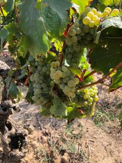 Gite de la fontaine Bondrée - 2