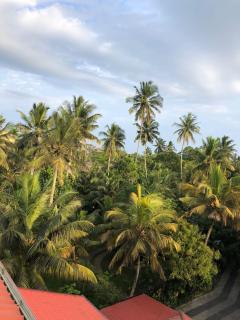 Bird Paradise - Kamburugamuwa - Matara - 1