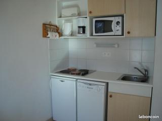 Appartement 2 pièces 30 m2 dans résidence de tourisme à LA FOUX D'ALLOS - La Foux - 3