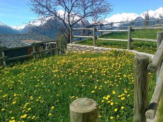 Appartamento in pieno relax - Saint Nicolas - 4