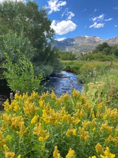 Snowcreek II 2 plus loft 2 bathroom end unit condo sleeping 8 people with amazing mountain view - Mammoth Lakes - 5