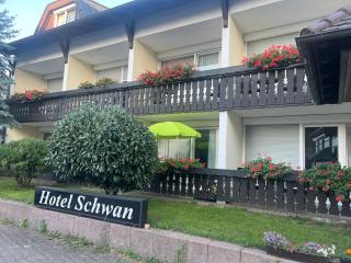 Hotel Schwan - Hügelsheim - 4