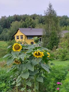 Vakari Puhketalu - Vakari - 2