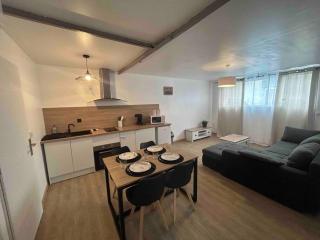 Appartement proche centre ville - Castres - 9