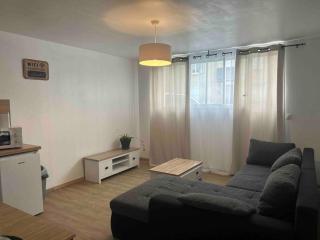 Appartement proche centre ville - Castres - 7