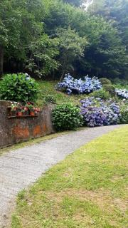 Chalet Anna Chiara - Arola - 3