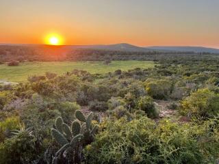 Harmony Luxury Tents & Safari - 0