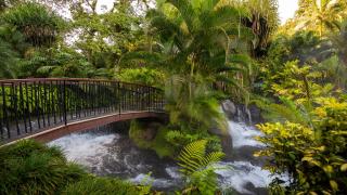 Tabacón Thermal Resort & Spa - Fortuna - 5