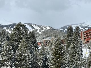 NEW! Marriott Slope View Ski in Ski out Luxury Studio Sleeps 4 Full kitchen, Amenities & Fee Parking - 4