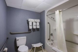 Quality Inn & Suites Big Rapids near University - Big Rapids - 3