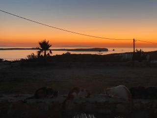 Nerea Sunset View Apartment - Agia Irini Paros - 3