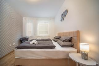 Grace Pine Apartment 2 - Budapest - 4