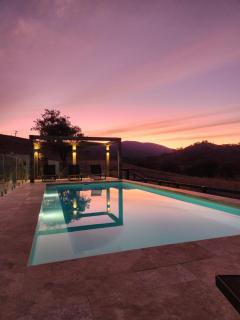 The Barn - Unique Luxury Stay - Belltrees - 5