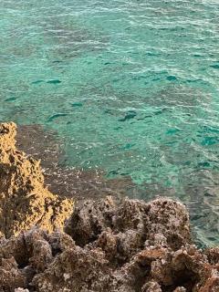 Irie Vibes by the beach - 2