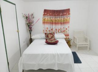 Cozy Family Inn - Port Antonio - 8