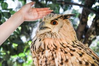 ＹＵＦＵＩＮ　ＦＬＯＲＡＬ　ＶＩＬＬＡＧＥ　ＨＯＴＥＬ - 2